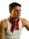 image of Occunomix 940 MiraCool® Bandana
