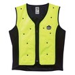 Picture of Ergodyne Chill-Its 6685 Lime 3XL Polyester/Polyurethane Cooling Vest (Main product image)