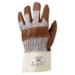 Picture of Ansell Hyd-Tuf 52-547 Brown/Gray 10 Cotton/Leather Full Fingered Work Gloves (Main product image)