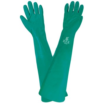 frog wear gloves