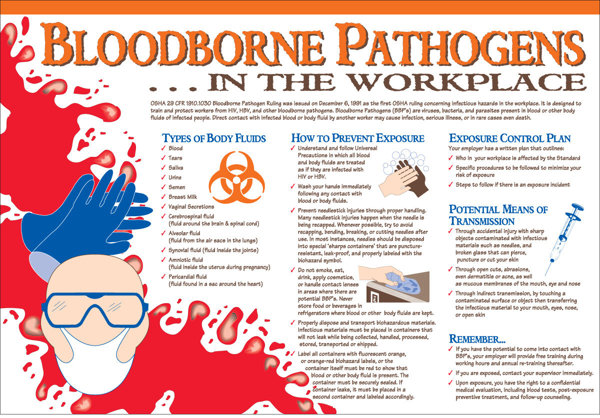 Bloodborne Pathogens Training Free Printable