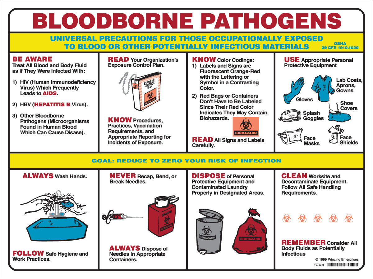 Brady Prinzing Paper Rectangle White Bloodborne Pathogens Sign - 24 in Width x 18 in Height - Laminated - PS125E