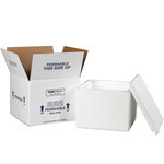 image of White Insulated Shipping Containers - 9.5 in x 9.5 in x 7 in - 2260