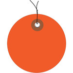 image of Shipping Supply Orange Vinyl Plastic Tags - 12198
