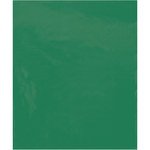 image of Green Flat Poly Bag - 15 in x 18 in - 2 mil Thick - 11920