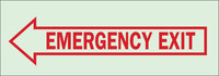 image of Brady Bradyglo B-324 Polyester Rectangle Green Emergency Exit Sign - 10 in Width x 3.5 in Height - Glow in the Dark - 80211