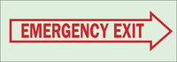 image of Brady Bradyglo B-324 Polyester Rectangle Green Emergency Exit Sign - 10 in Width x 3.5 in Height - Glow in the Dark - 80209