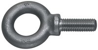 image of Williams Eyebolt JHWEB-21T - 2 7/16 in
