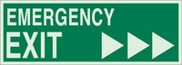 image of Brady Bradyglo B-347 Polyester / Polystyrene Rectangle Green Emergency Exit Sign - 14 in Width x 5 in Height - Glow in the Dark - 90923