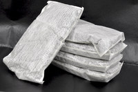 image of Spilfyter Gray 5 gal Sorbent Pillow - 8.5 in Width - 17 in Length - 810042-42379