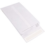 image of Tyvek White Expandable Envelopes - 10 in x 13 in x 2 in - 3770
