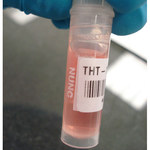 image of Brady B33-153-461 Die-Cut Printer Label Roll - 1 in x 0.6 in - Polyester - Clear / White - B-461 - 96839