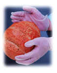 image of PIP Ambi-dex 64-346PF Clear Large Powder Free Disposable Gloves - Food Grade - Smooth Finish - 64-346PF/L