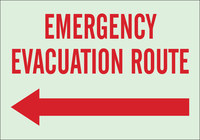 image of Brady Bradyglo B-347 Polyester / Polystyrene Rectangle Green Emergency Exit Sign - 10 in Width x 7 in Height - Glow in the Dark - 90951