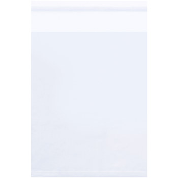 Clear Reclosable Polypropylene Bag - 6 in x 11 in - 1.5 mil Thick - 13182