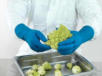 Ansell AlphaTec 87-155 Blue 10 Unsupported Chemical-Resistant Gloves - 12 in Length - Fishscale Finish - 17 mil Thick - 185744