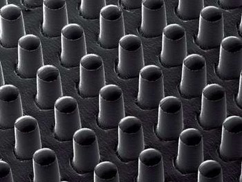 3M GM641 Black Grip Tape - 1 in Width x 72 yd Length - 38 mil Thick - High Durability - 98050