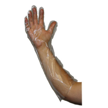 Picture of PIP Ambi-dex 65-545 Clear XL Polyethylene Disposable Gloves (Main product image)