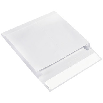 Picture of SLE10132WS Expandable Envelope. (Main product image)