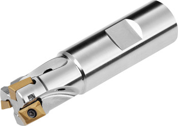 Picture of Pramet 16A2R032B16-SAP10D-C High-Speed Powder Metallurgy Steel 80 mm Milling Cutter 6758364 (Main product image)