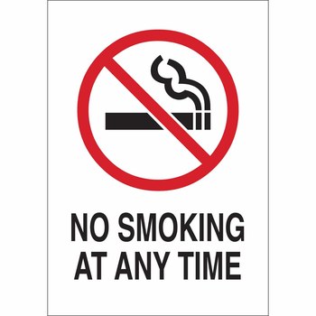 Picture of Brady B-401 Polystyrene Rectangle White English No Smoking Sign part number 141943 (Main product image)