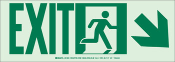 Picture of Brady Bradyglo B-985 Polyester / Polystyrene Rectangle White English Exit Sign part number 114656 (Main product image)
