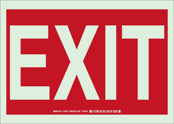 Picture of Brady Bradyglo B-347 Polyester / Polystyrene Rectangle White English Exit Sign part number 103615 (Main product image)