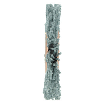 Weiler Nylox 17535 Wheel Brush - 1 1/4 in Dia - Crimped Nylon Bristle