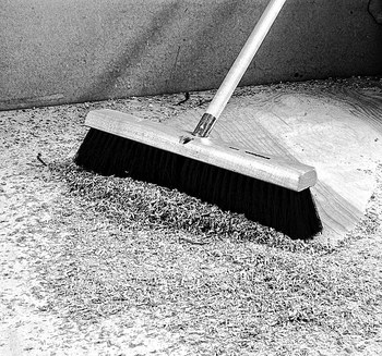 Weiler 420 Push Broom Head - 24 in - Horsehair, Tampico - Black - 42017