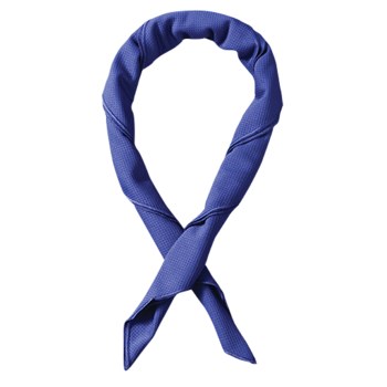 Picture of Occunomix Tuff & Dry TD200 Navy Cooling Bandana (Main product image)