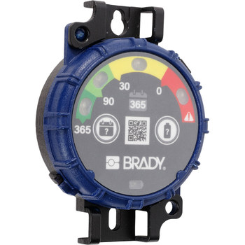 Brady 365 Day Inspection Timer - 754473-62929