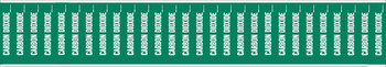 Picture of Brady White on Green Vinyl 91907 Self-Adhesive Pipe Marker (Main product image)