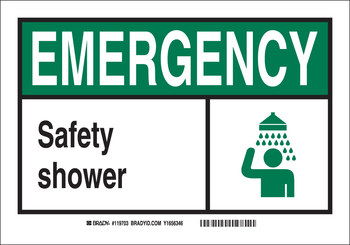 Picture of Brady B-302 Polyester Rectangle Shower Station Sign part number 119853 (Main product image)