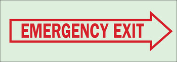 Picture of Brady Bradyglo B-324 Polyester Rectangle Green English Emergency Exit Sign part number 80209 (Main product image)