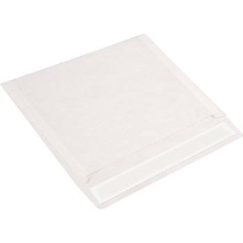 Picture of TYF1013WS Envelopes. (Main product image)