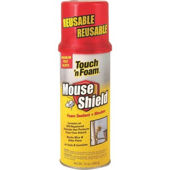 Picture of Dap Touch 'n Foam Sealant (Main product image)