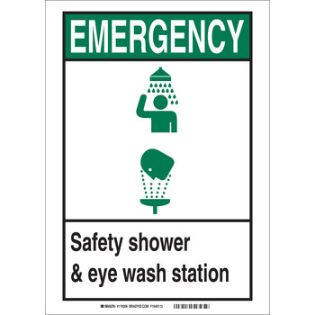 Picture of Brady Bradyglo B-347 Polyester / Polystyrene Rectangle Eyewash & Shower Sign part number 119212 (Main product image)