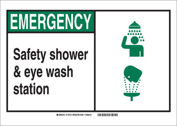 Picture of Brady B-946 Vinyl Rectangle Eyewash & Shower Sign part number 119788 (Main product image)