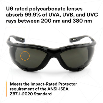 3M Virtua Standard Safety Glasses CCS 11873