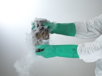 ANSELL 37-175  Chemical Resistant Gloves 12 Pair 15 mil,Nitrile 