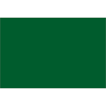 Picture of Tape Logic Green Paper 9155 Blank Rectangle Inventory Labels (Main product image)