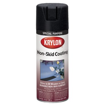 Picture of Krylon K03402000 34025 Paint (Main product image)