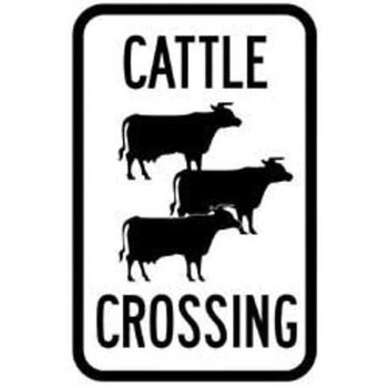 Picture of Brady B-959 Aluminum Rectangle White English Pedestrian & Crosswalk Sign part number 115224 (Main product image)