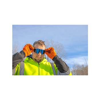Bullhead Whipray Safety Glasses BH3219PFT