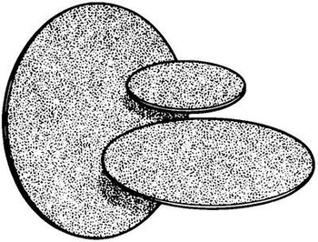 3M Wetordry 431Q Coated Silicon Carbide PSA Disc - C Weight - 8 in Diameter - 21347