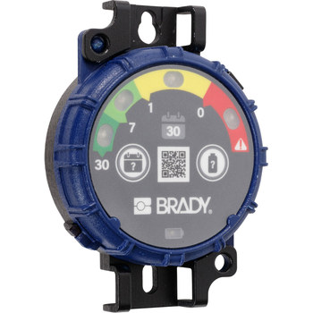 Brady 30 Day Inspection Timer - 754473-62926