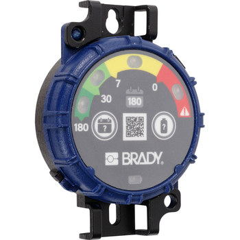 Brady 180 Day Inspection Timer - 754473-62928
