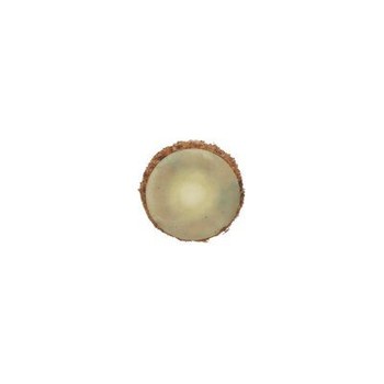3M Scotch-Brite SC-DS Roloc TS Surface Conditioning Quick Change Disc 19562 - 3/4 in - Aluminum Oxide - Coarse
