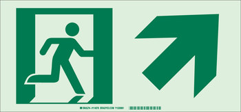Picture of Brady Bradyglo B-984 Polyester Rectangle White Exit Sign part number 114676 (Main product image)