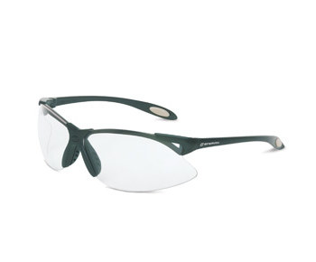 Picture of North A900 Clear Black Polycarbonate Standard Safety Glasses (Main product image)